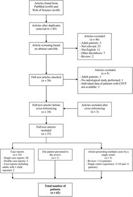 Cerebral sinovenous thrombosis in children with nephrotic syndrome: systematic review and one new case